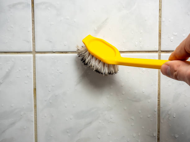 Best Residential Mold Removal  in East Dennis, MA