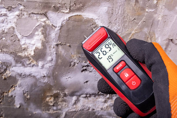 Attic Mold Removal in East Dennis, MA